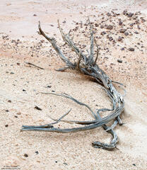 Sticks And Stones