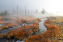 Stream Mist