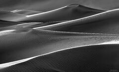 Sunlit Edges