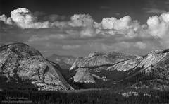 Tenaya Lake