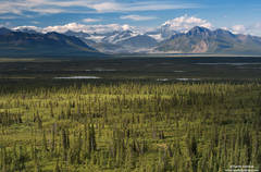 The Alaska Range 1