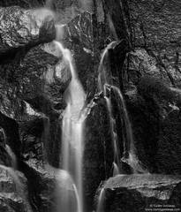 Water and Rock
