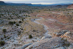 Wide Open Country