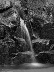 Wildcat Creek Trickle