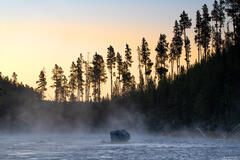 Yellowstone River Boulder