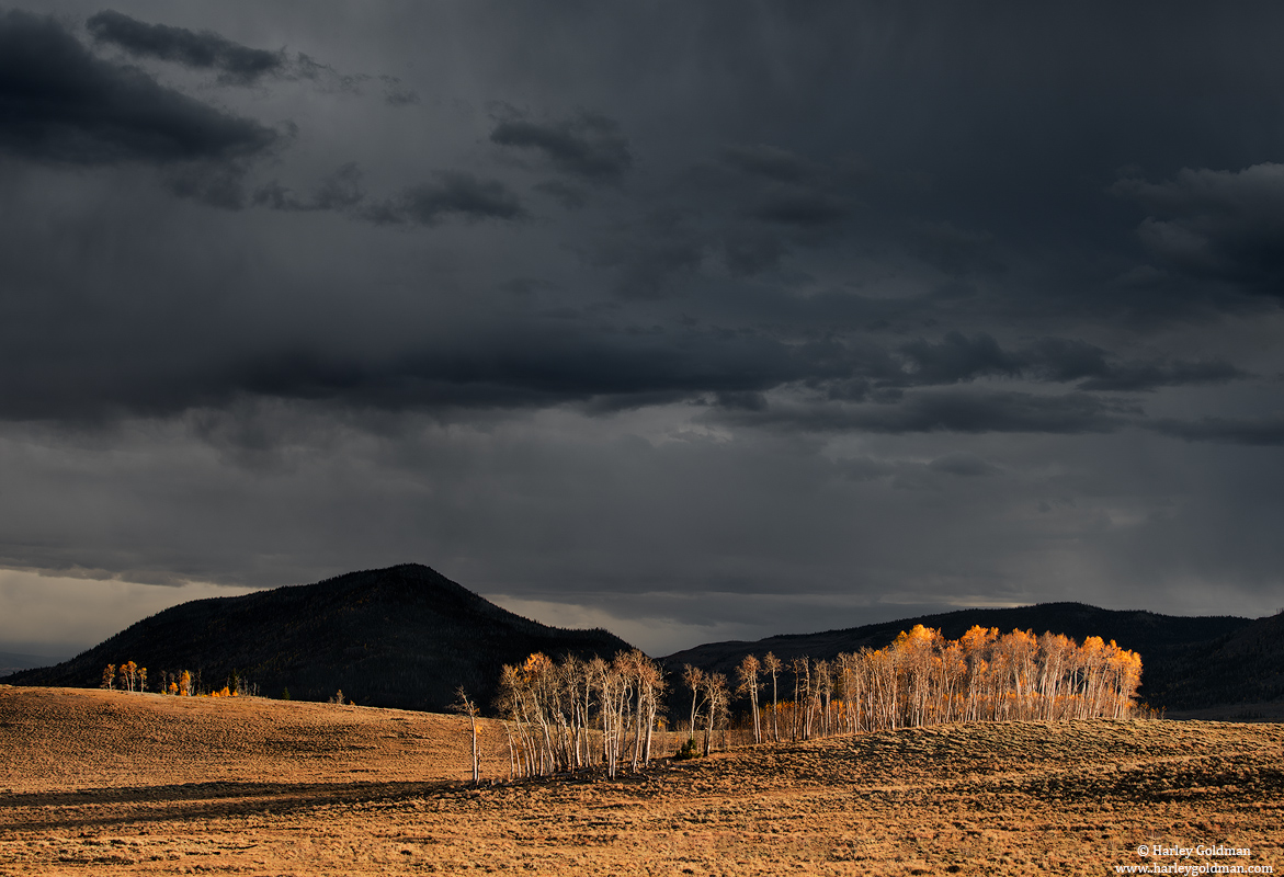 storm, utah, fall, autumn, aspen, mountain