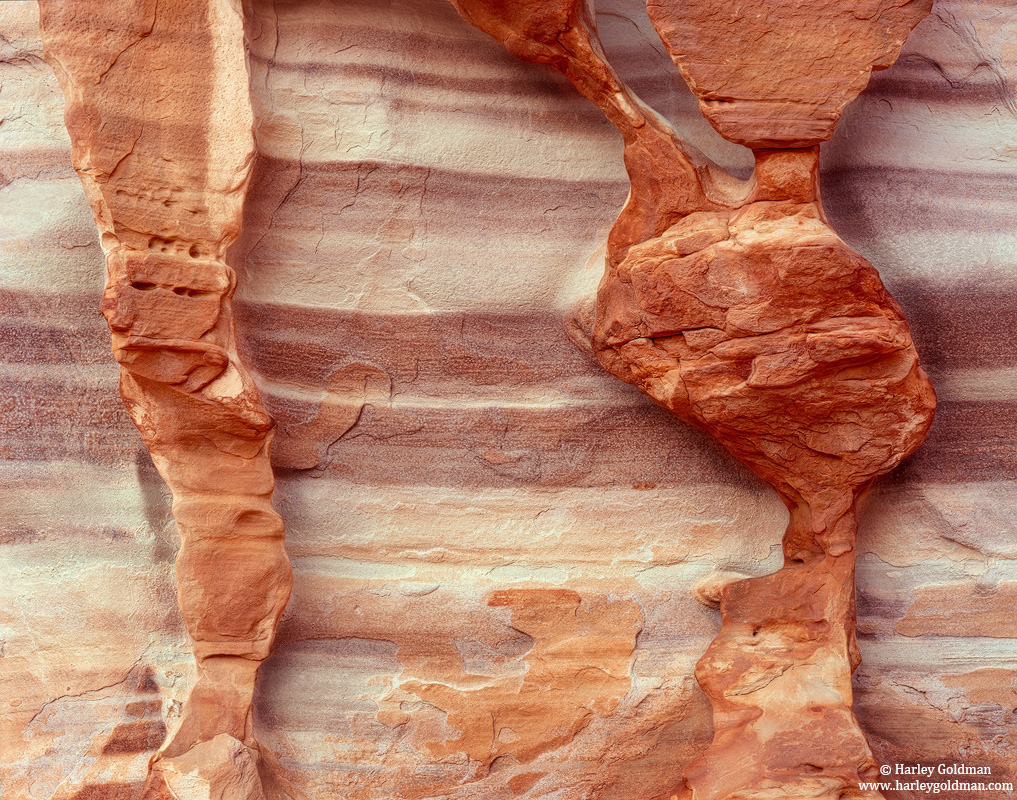 This sandstone formation makes me think of leg bones.
