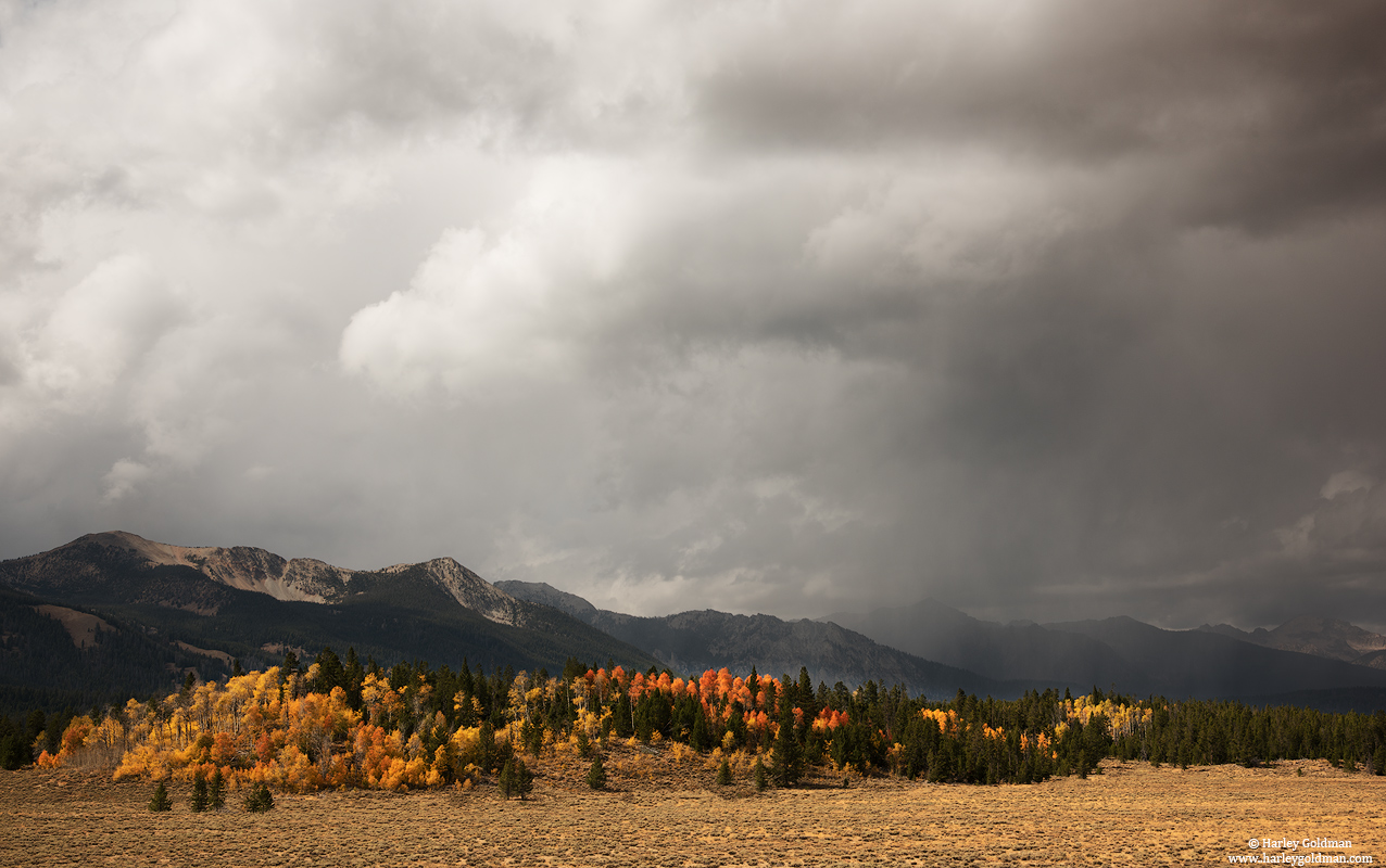 Idaho, rain, fall, autumn, aspen, mountain, cloud, storm, desert