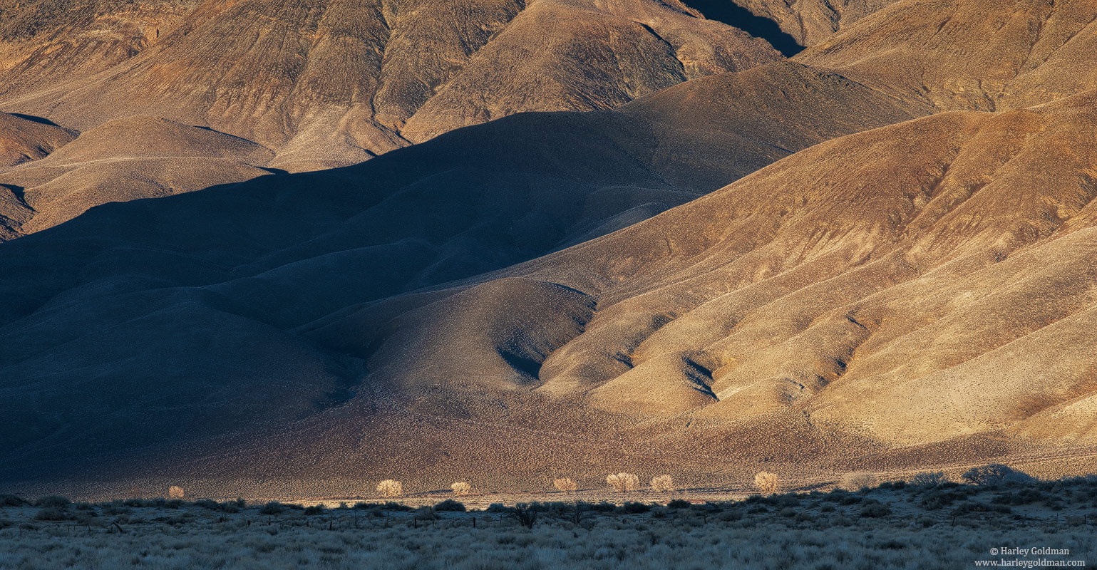 cottonwood, owens valley, sierra, nevada