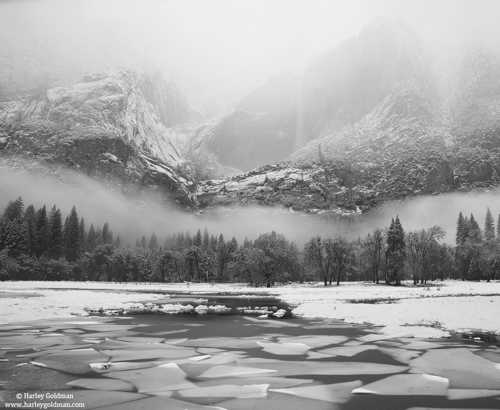 ice, fog, yosemite, valley, winter, oak, elm, waterfall