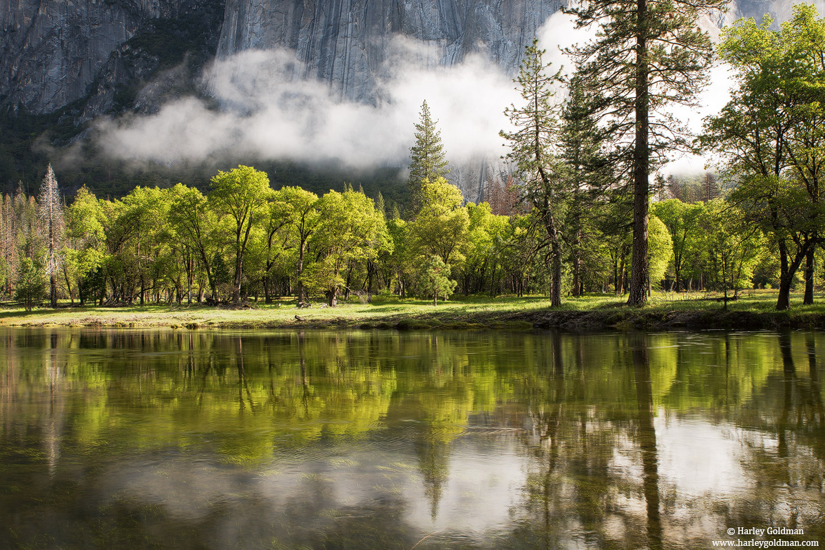 merced, river, yosemite, park, reflection, oak, el capitan, meadow