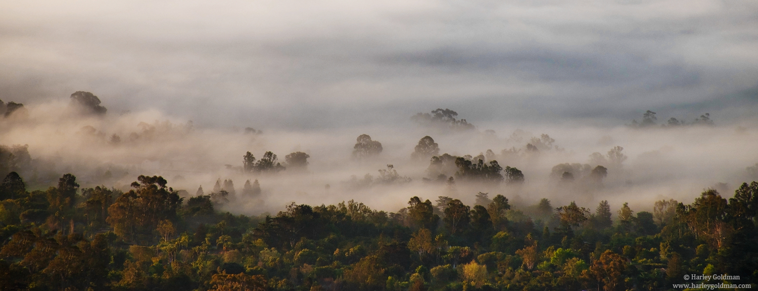 montecito, santa barbara, clouds, fog, trees