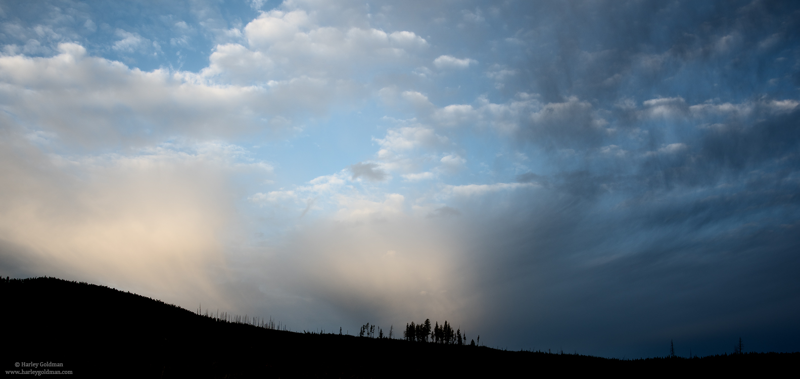 Wyoming, tree, ridge, yellowstone, cloud, sky, silhouette, national, park