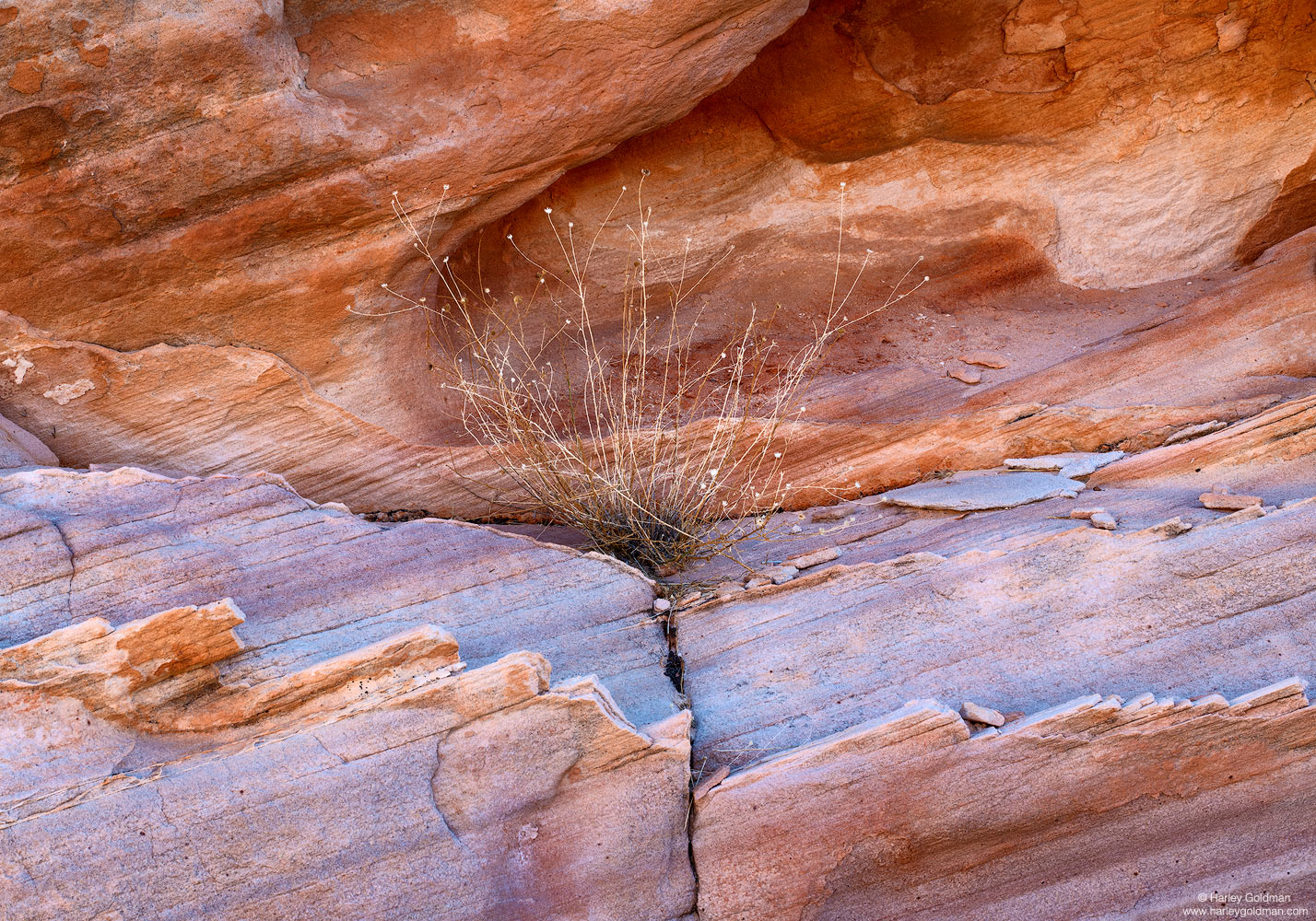 Nevada, sandstone, planter, rock, lines