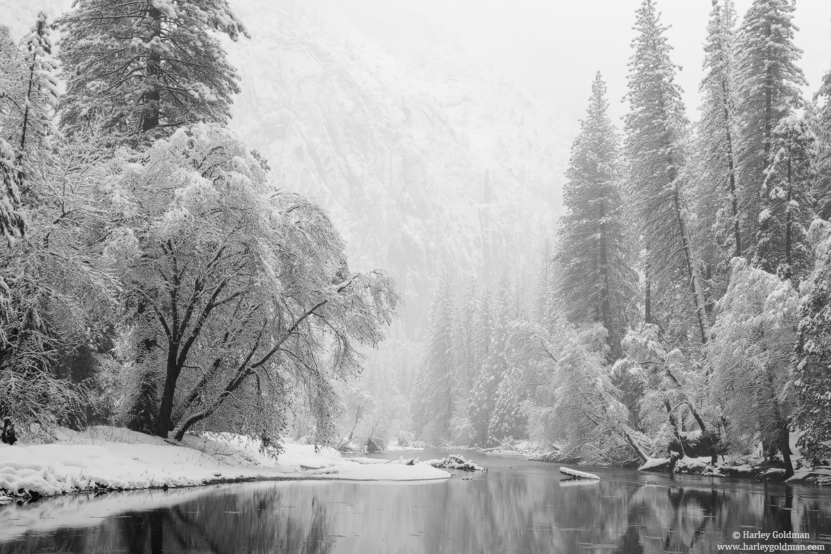 merced, river, snow, yosemite, valley, trees, water, fog