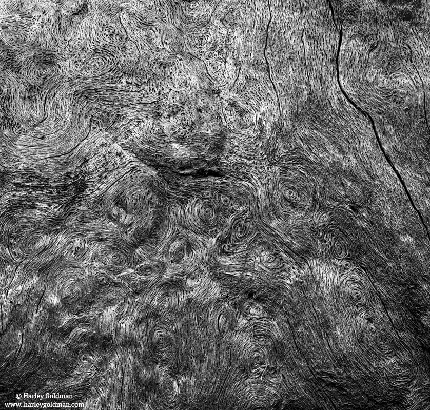 This is grain pattern on a tree in Yosemite valley along the Merced River. To give a sense of scale, the tree section shown is...