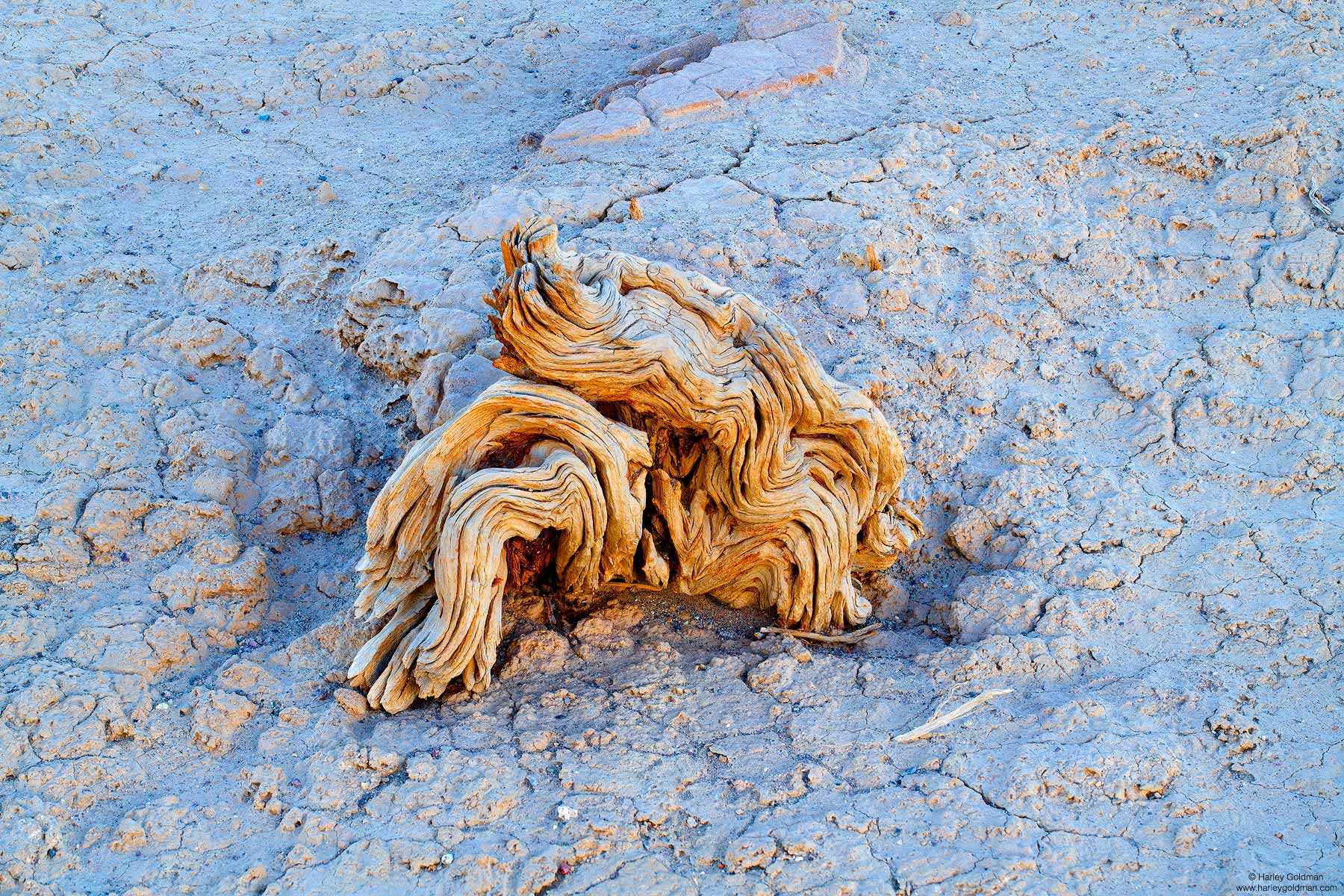 Death Valley, national, park, wood, mud, twist, desert