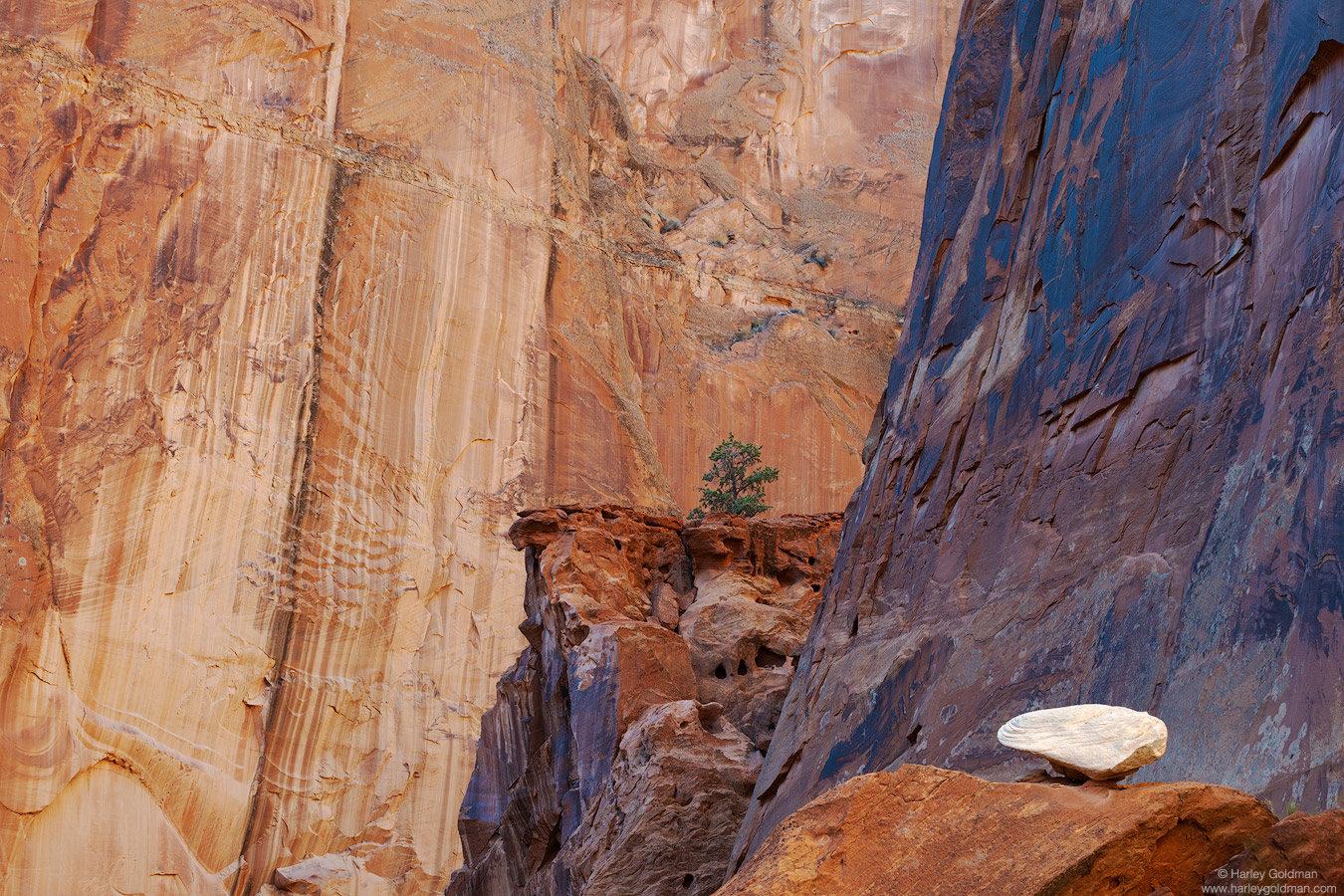 Utah, rock, canyon, wall, sandstone, boulder, juniper, shellac, stripe
