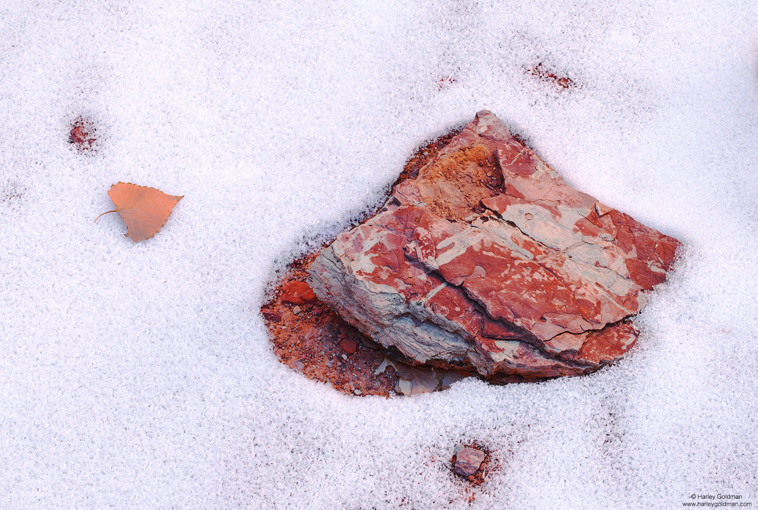 Utah, winter, rock, sandstone, leaf, snow