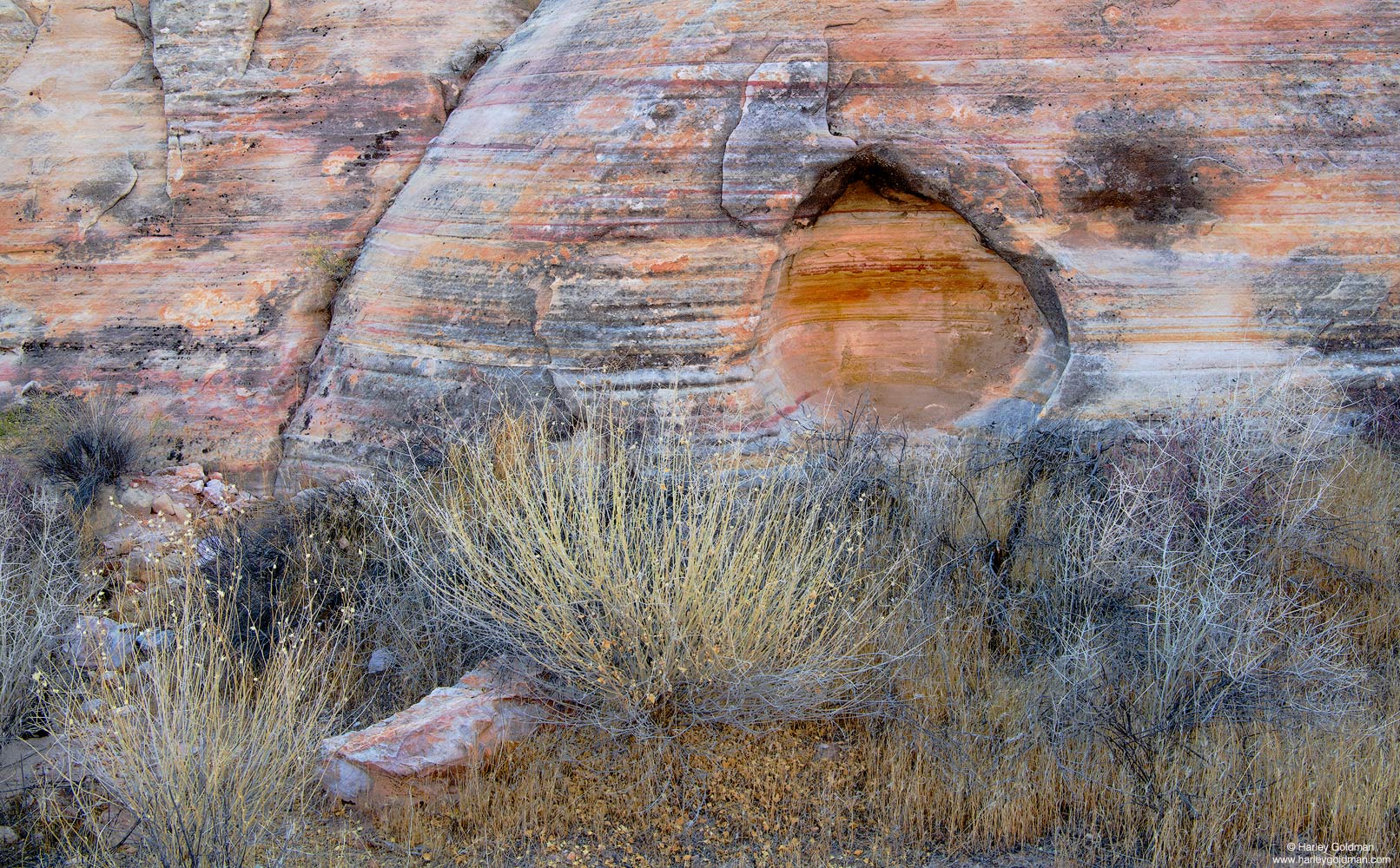 Nevada, winter, groundcover, sandstone